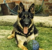 Tasha at 18 months