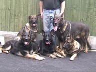 Jodie, Jade, Tina, Leo, Jess